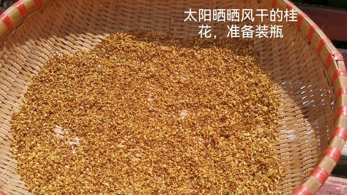桂蜜坊农业