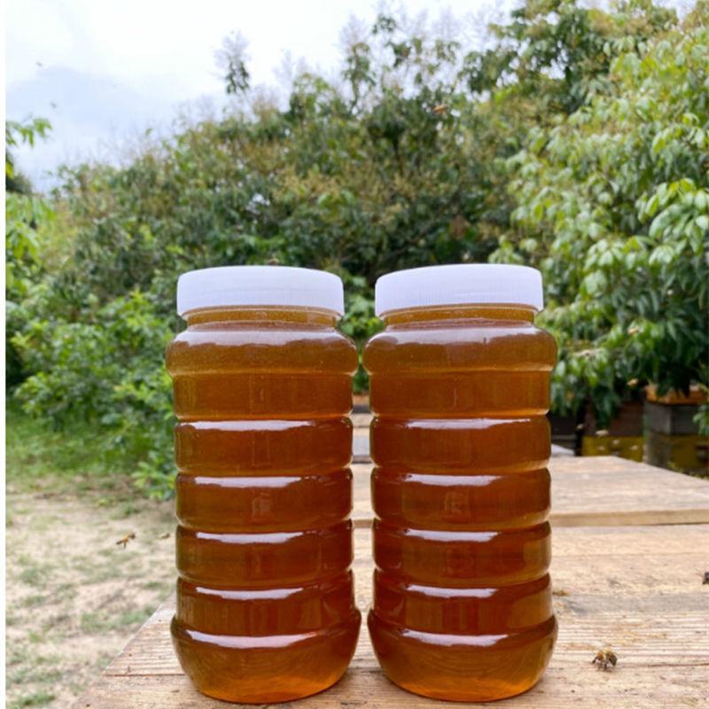 龙眼蜜货源